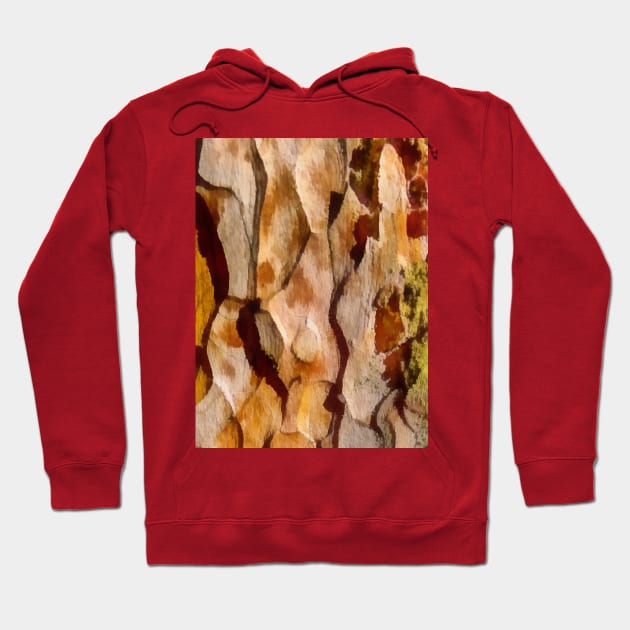 Tree Bark Hoodie by Evgeniya